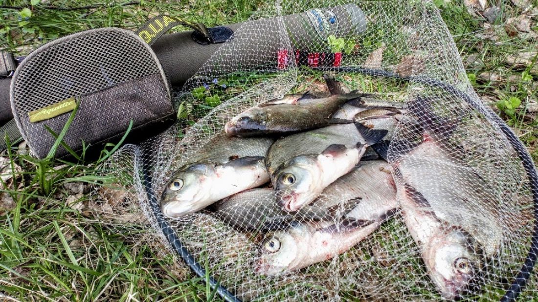Места для рыбалки в удмуртской республике – платная и бесплатная рыбалка!