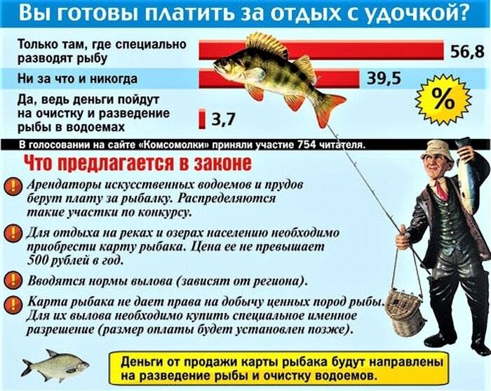 Зимняя рыбалка на межуре - рыболов