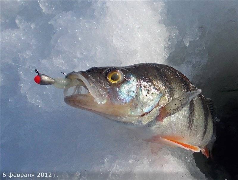 Рыбалка на черта зимой
