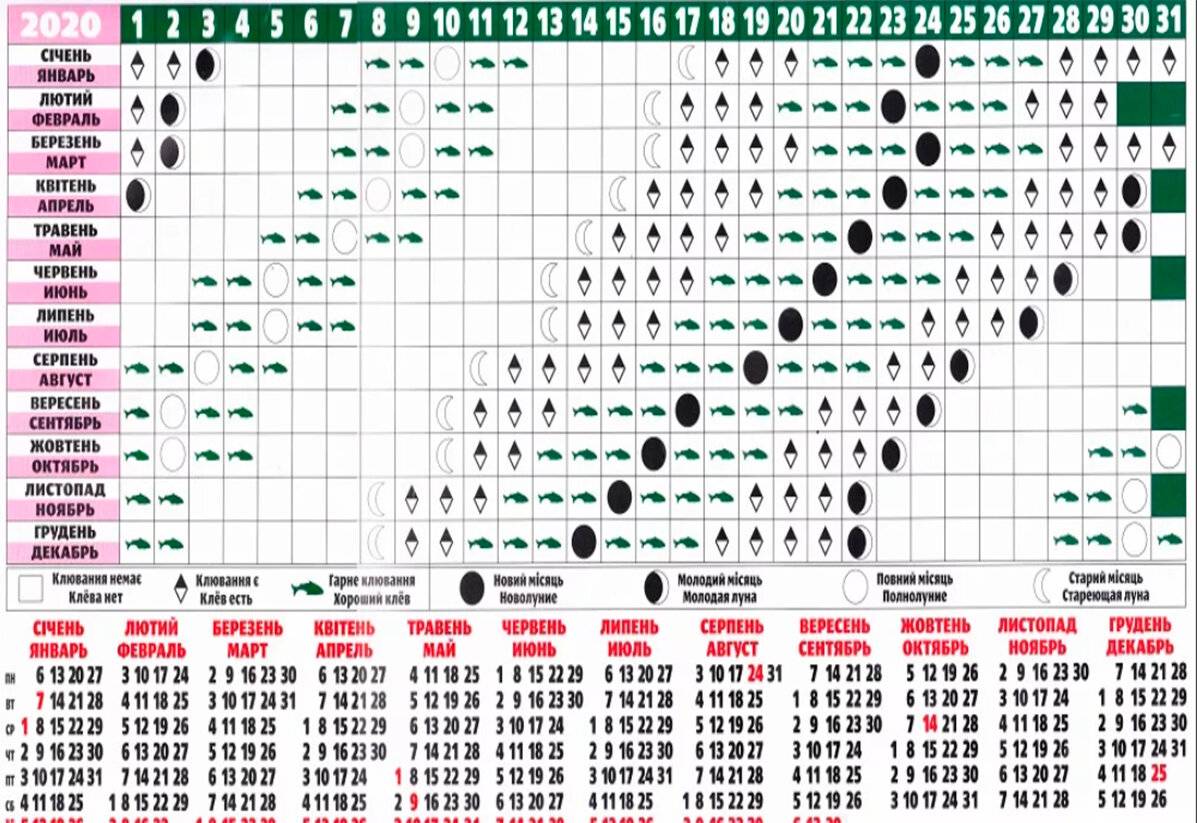 Лунный календарь 2024 по дням. Влияние лунных фаз на клев рыбы. Влияние фаз Луны на клев рыбы. Лунный календарь для рыбалки по фазе Луны. Лунный календарь рыболова на 2021 год клёв рыбы по Луне.