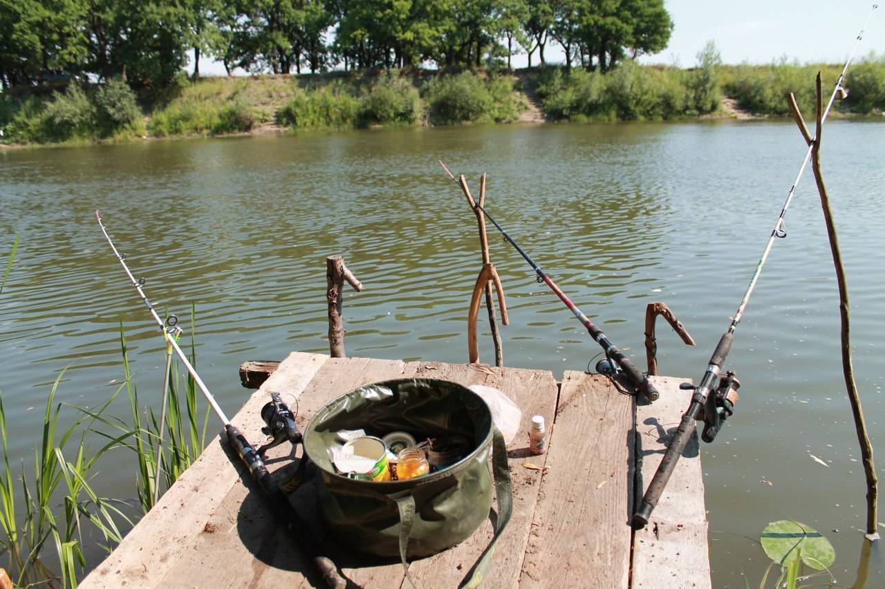Саратов - календарь рыболова. рыбалка в саратове, график клёва рыбы.