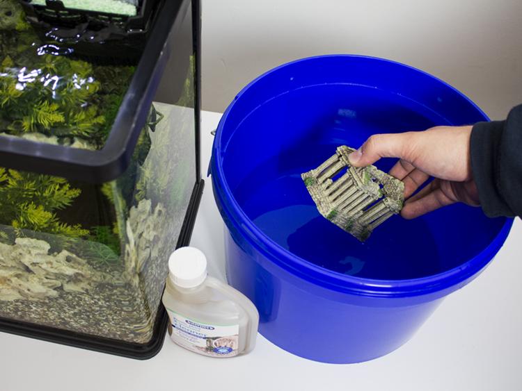 Правильная чистка аквариума в домашних условиях: простые и быстрые способы