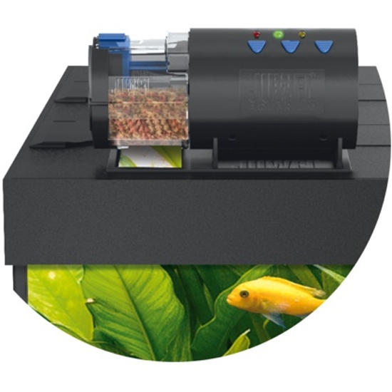 Автоматическая кормушка для аквариумных рыб: виды и варианты.