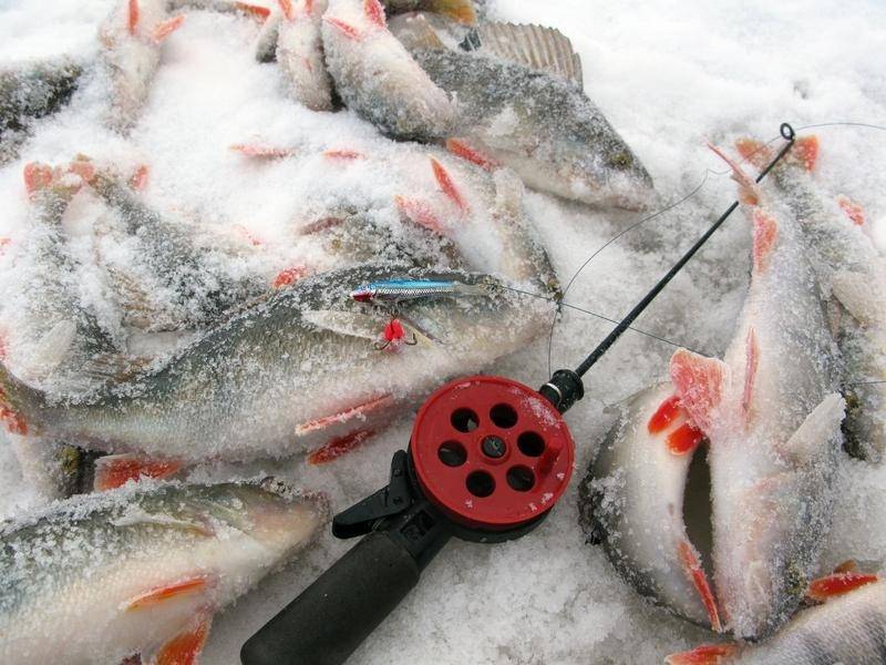Виды снастей для зимней рыбалки: удочки, кивки, приманки и наживки
