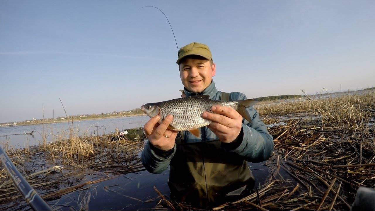 Где ловить в апреле. Рыбалка в апреле. Плотва на Рыбинском водохранилище. Плотва апрель рыбалка. Ловля плотвы весной.