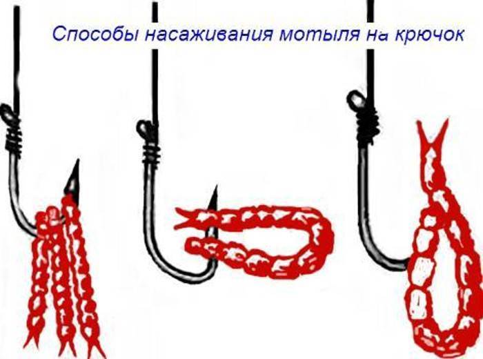 Как насаживать мотыля на крючок на карася - выбираем лучшие