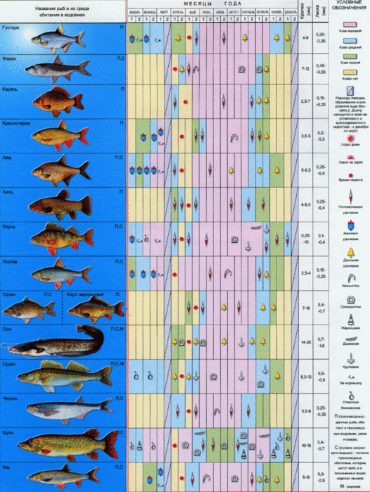 Межура: отчет о рыбалке, размер и вес улова, месторасположение водохранилища, разрешение, советы рыбакам и отдыхающим