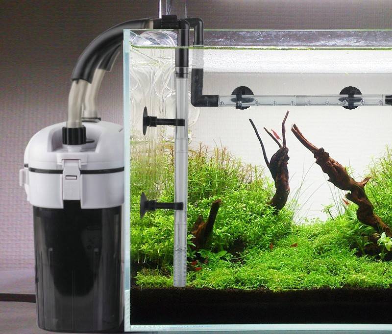 Как почистить аквариум в домашних условиях ?