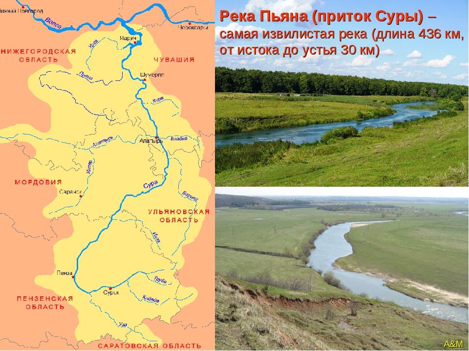 Протяженность реки сура. Притоки реки Сура Нижегородская область. Река пьяна на карте Нижегородской. Бассейн реки пьяна Нижегородская область. Река Сура на карте Нижегородской области.