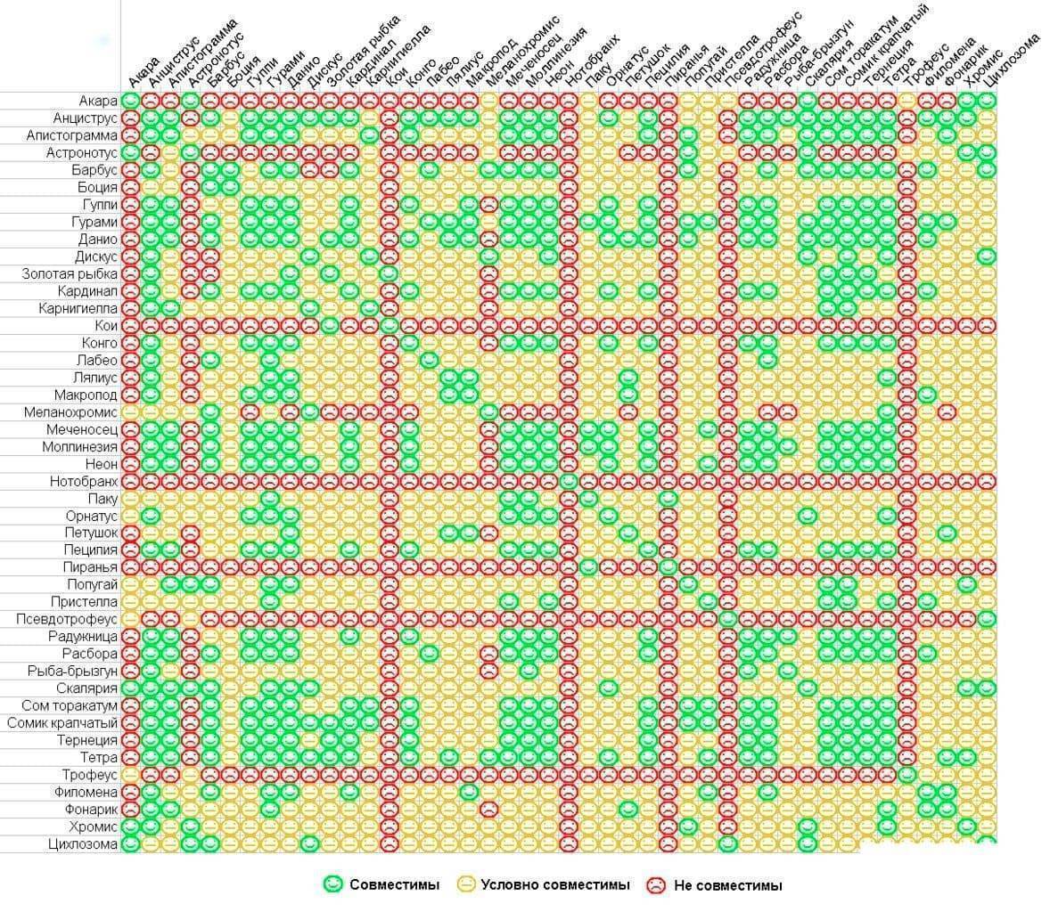 Таблица совместимости аквариумных рыбок в одном аквариуме таблица фото