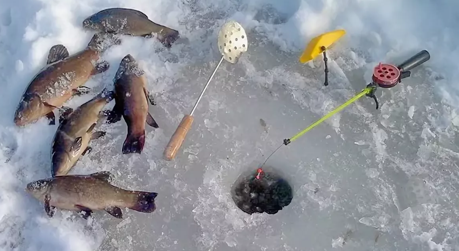 Нюансы успешной ловли зимней плотвы - на рыбалке!