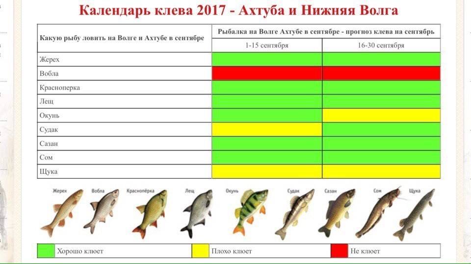 Клева интернет магазин. Таблица рыболова. Рыбный календарь. Таблица клева рыбы. Календарь рыбной ловли.