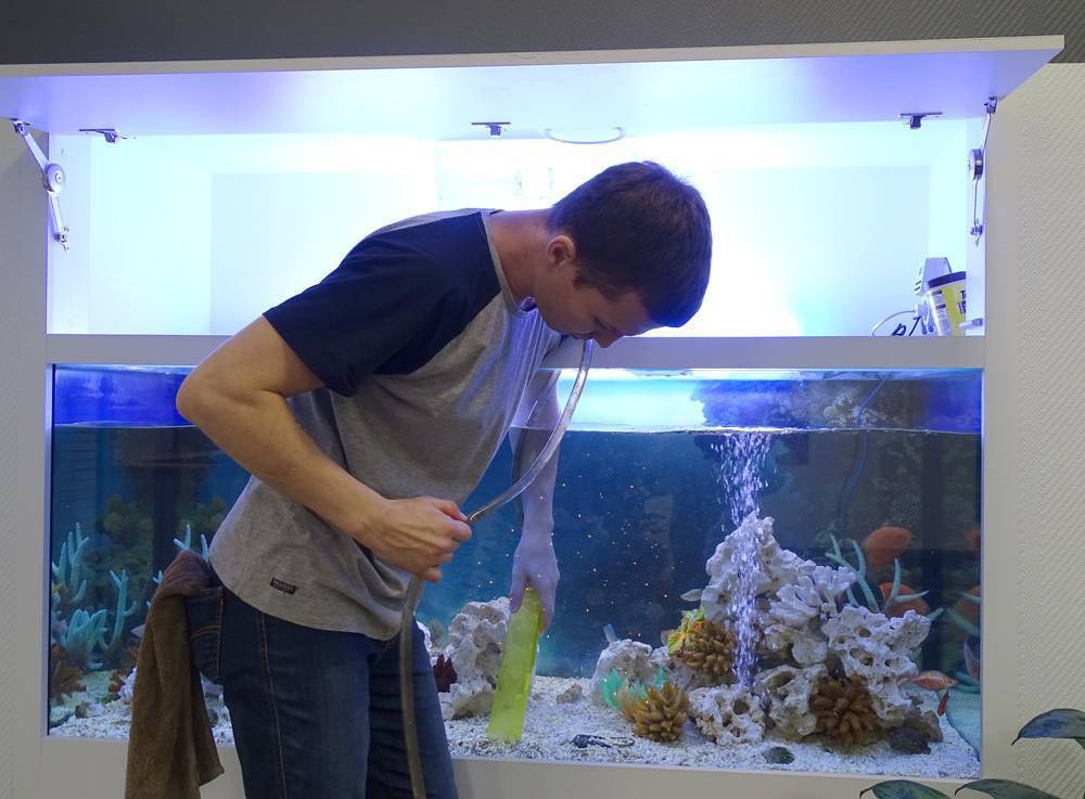Пошаговое руководство, как почистить аквариум в домашних условиях