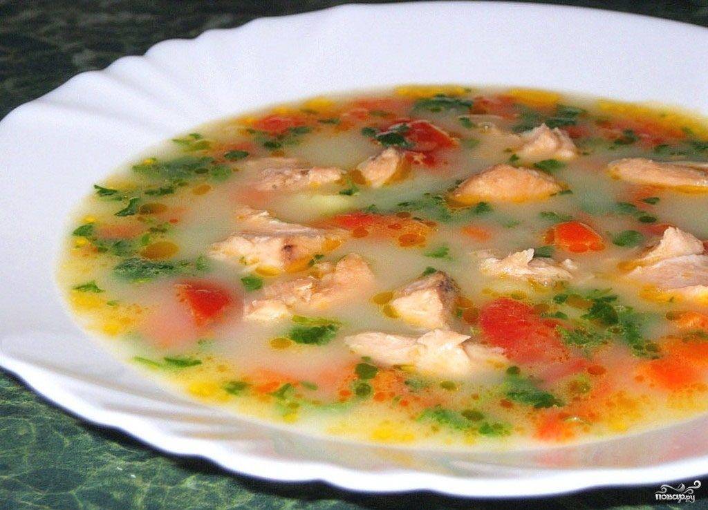 Суп из семги (27 рецептов с фото) - рецепты с фотографиями на поварёнок.ру