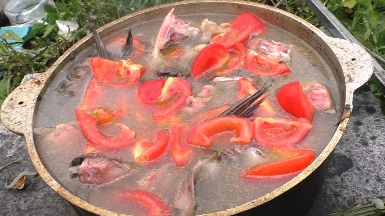 Уха из сазана по пошаговому рецепту с ? фото