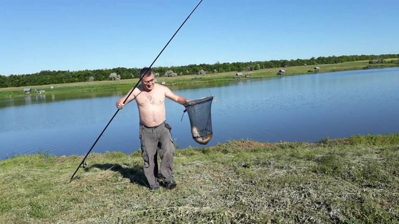 ᐉ саратовка - место для рыбака - ✅ ribalka-snasti.ru