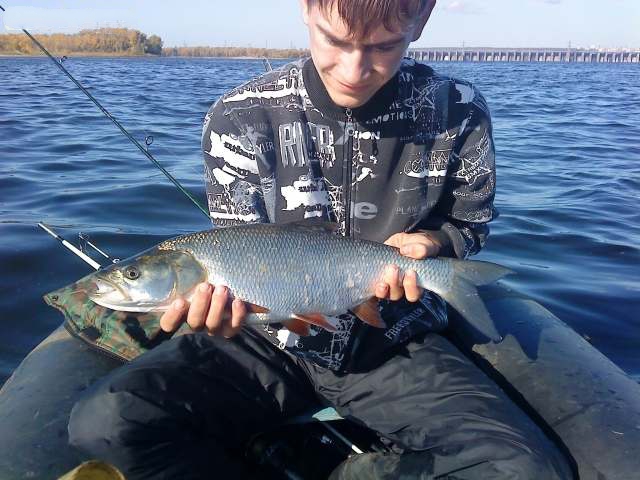 Где порыбачить в тольятти - рыбалка в россии и по всему миру - fishers-spb.ru