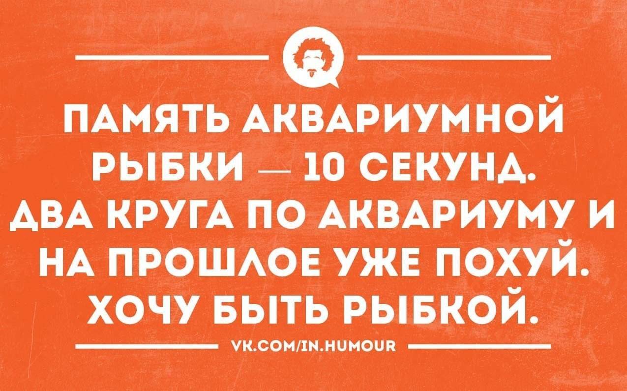 ᐉ память как у рыбки: объяснение понятия и какая память у рыб - kcc-zoo.ru