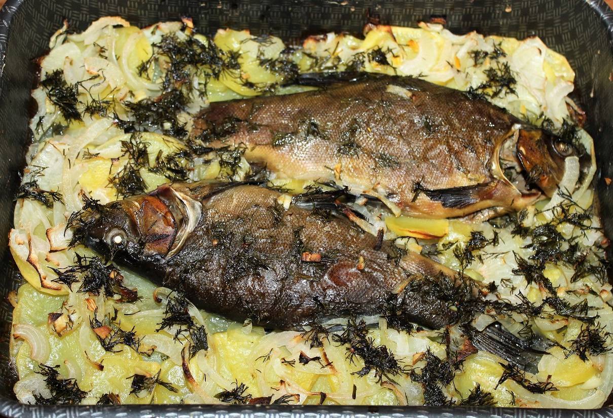Рыба линь: как приготовить блюдо из линя быстро и вкусно