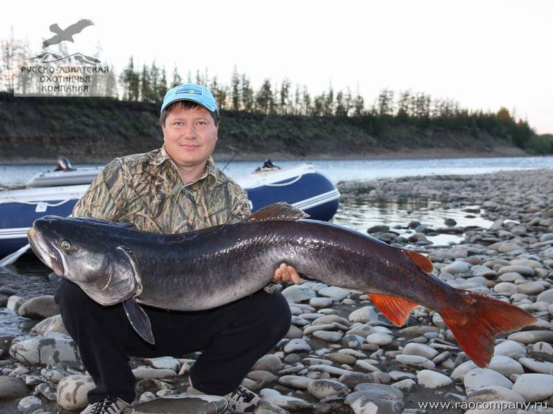 Рыбалка в республике саха (якутия): лучшие места на карте