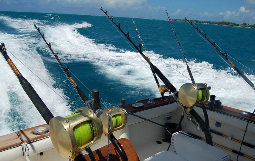 Рыбалка в анапе: отзывы. морская рыбалка с берега