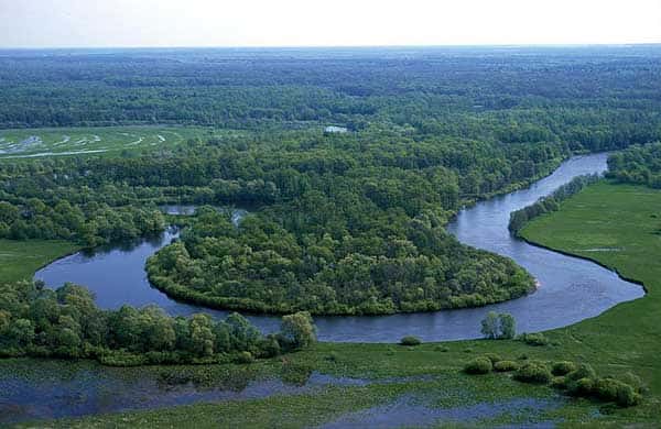 Какая рыба водится в десне в брянске и на что клюет. Смотреть фото Какая рыба водится в десне в брянске и на что клюет. Смотреть картинку Какая рыба водится в десне в брянске и на что клюет. Картинка про Какая рыба водится в десне в брянске и на что клюет. Фото Какая рыба водится в десне в брянске и на что клюет