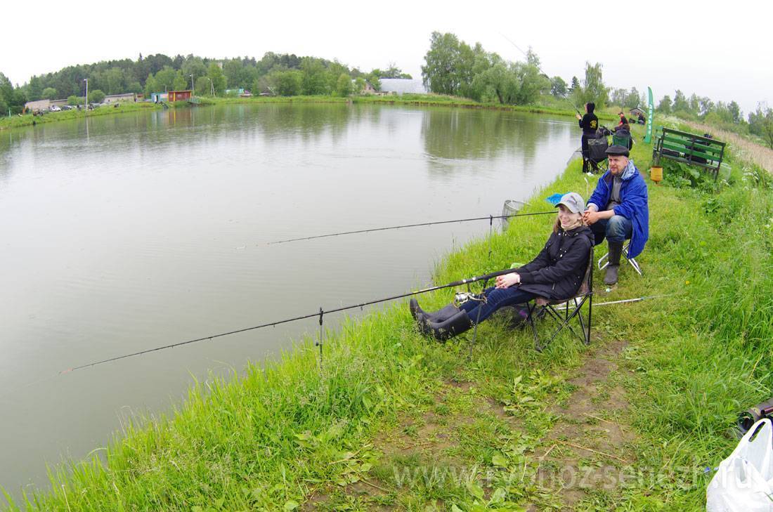 Водоемы бесплатные рыбалки