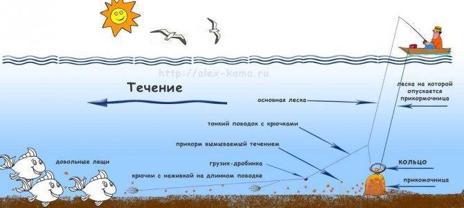 Ловля леща на кольцо с лодки: монтаж и изготовление