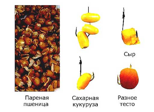 На что ловить карася?