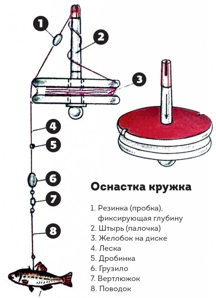 Ловля щуки на кружки: изготовление снасти, выбор места и живца