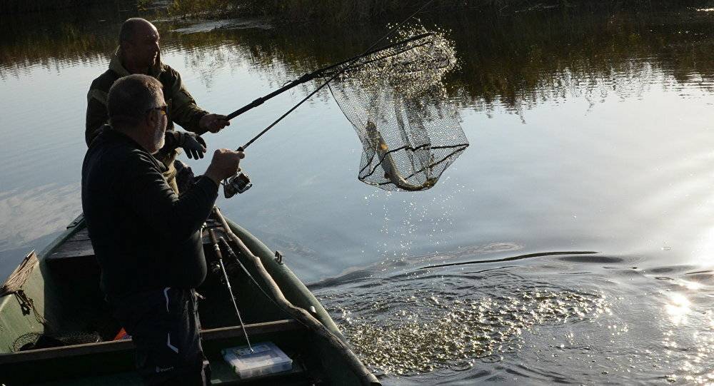 Рыбалка в витебске и витебской области: ловля сома на западной двине и другой рыбы в других местах, секреты рыбалки