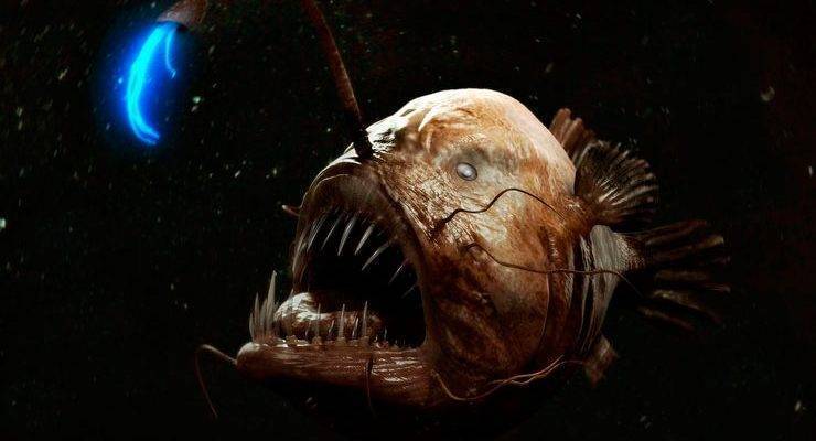 Интересные факты о самой ядовитой, но съедобной рыбе фугу