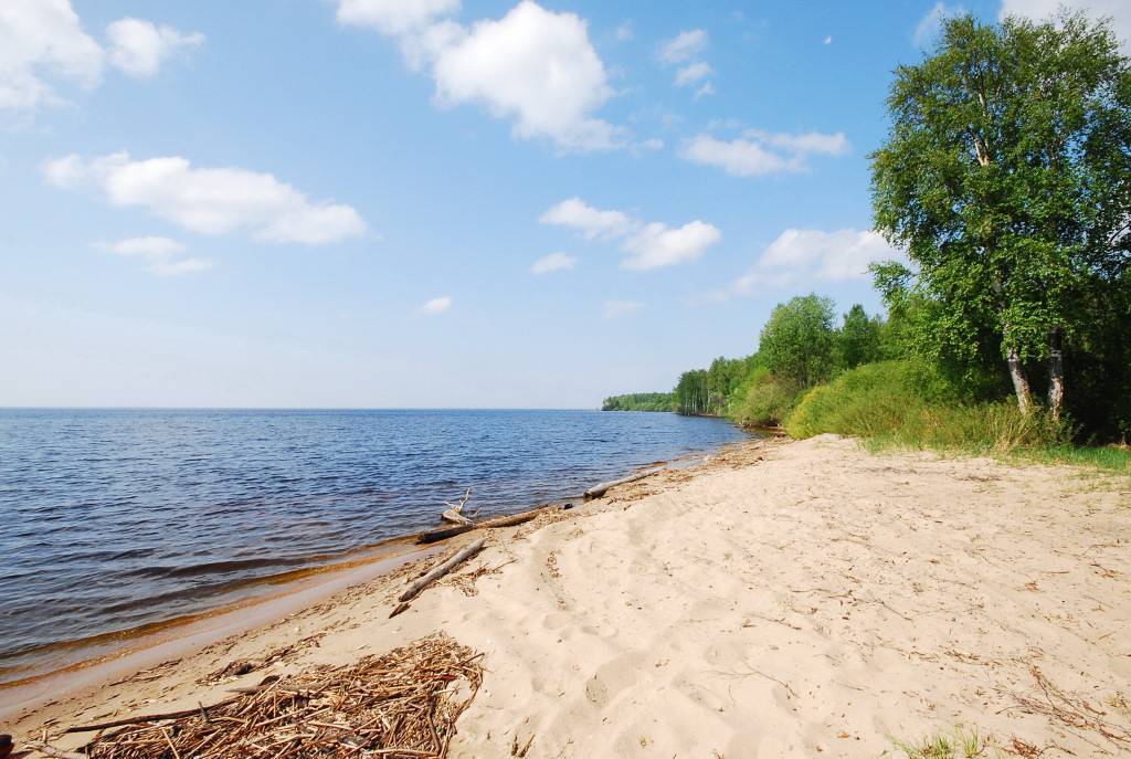 Рыбинское водохранилище: история, рыбалка