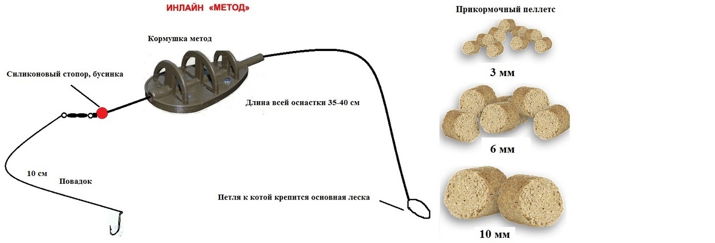 Рецепт теста для ловли карася летом на стоячей воде