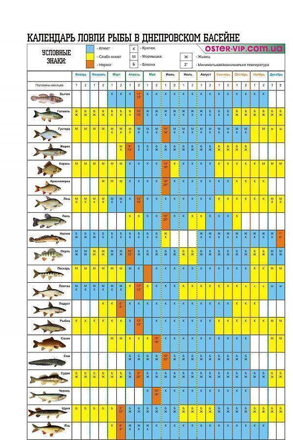 Календарь рыболова на июнь, июль, август