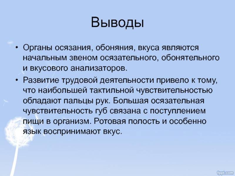 Обоняние предложения. Органы осязания обоняния вкуса. Обоняние вывод. Анализатор вкуса и обоняния. Вывод по теме обонятельный анализатор.