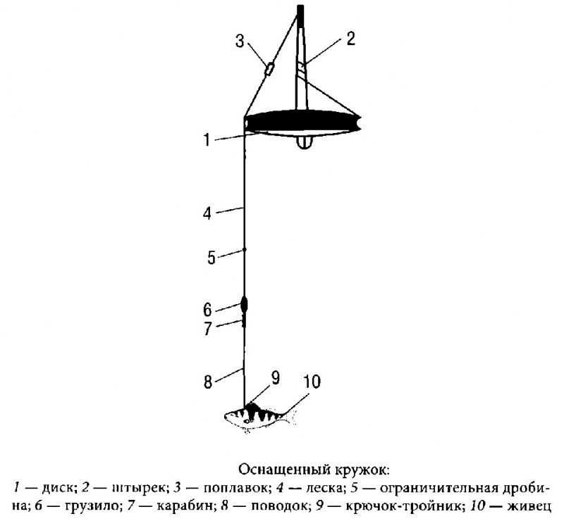 Схема кружков для ловли щуки оснастка