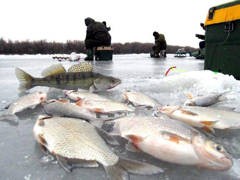 Рыбалка в городе минск