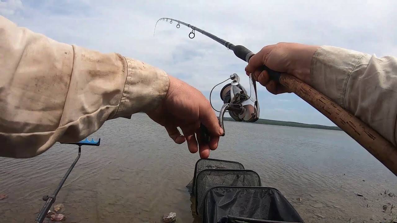 Ловля на фидер для начинающих: сборка снасти и тактика рыбалки
