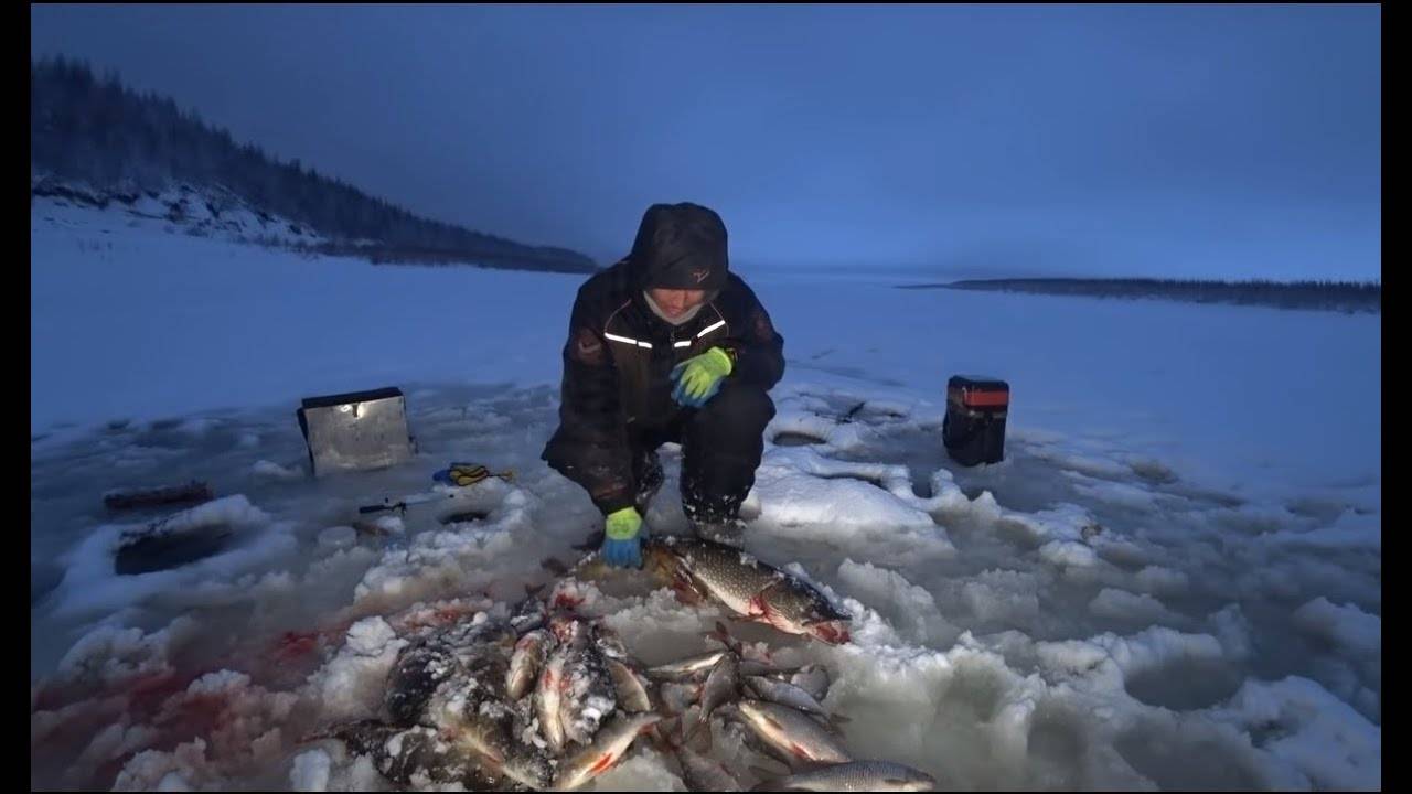 Ловля карася по первому льду – интересная рыбалка для настойчивых рыболовов