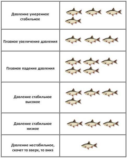Влияние луны на клев рыбы: зависимость от фазы, когда лучше клюет, советы и отзывы - truehunter.ru