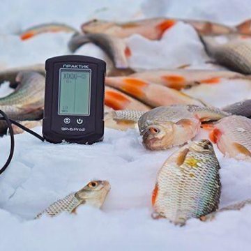 Зимний эхолот – рыбалка онлайн