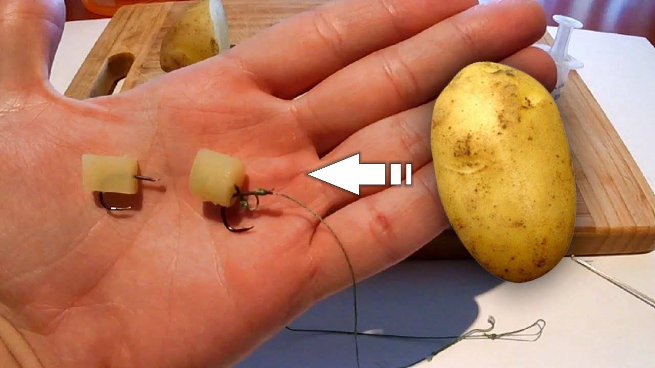 ✅ как приготовить картошку для ловли карпа - рыбзон.рф