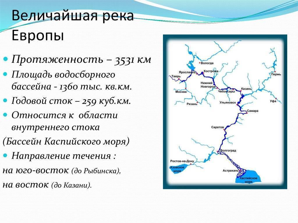 Ловля дорожкой на шелони в новгородской области: излагаем по пунктам