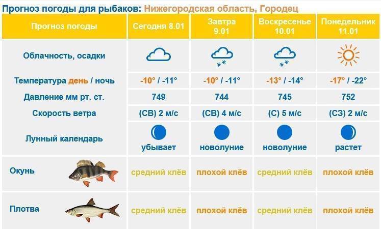 ✅ прогноз клева щуки в магнитогорске - danafish.ru