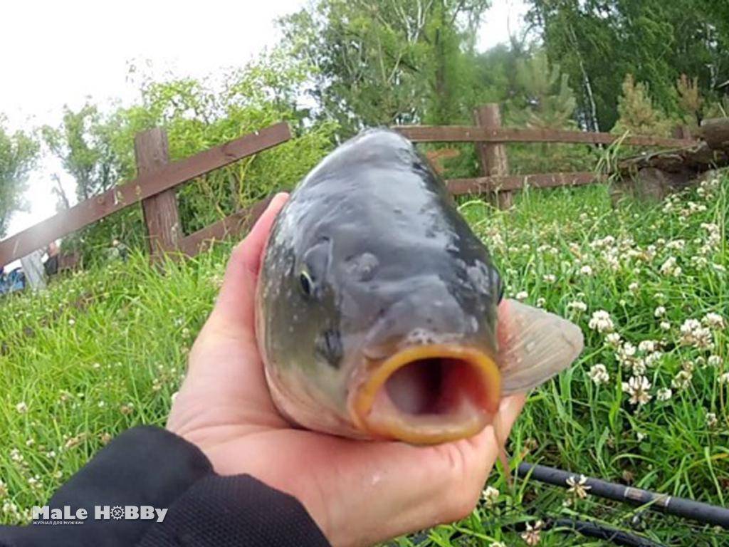ᐉ рыбалка в мытищах, пруды рупасово - ✅ ribalka-snasti.ru