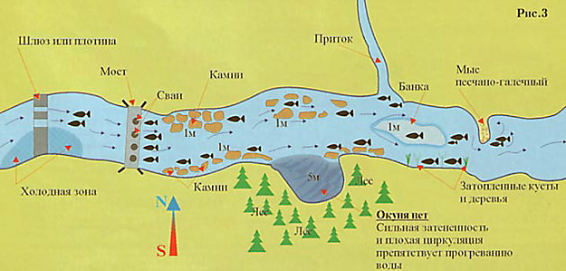 Где в москве половить рыбу бесплатно карта