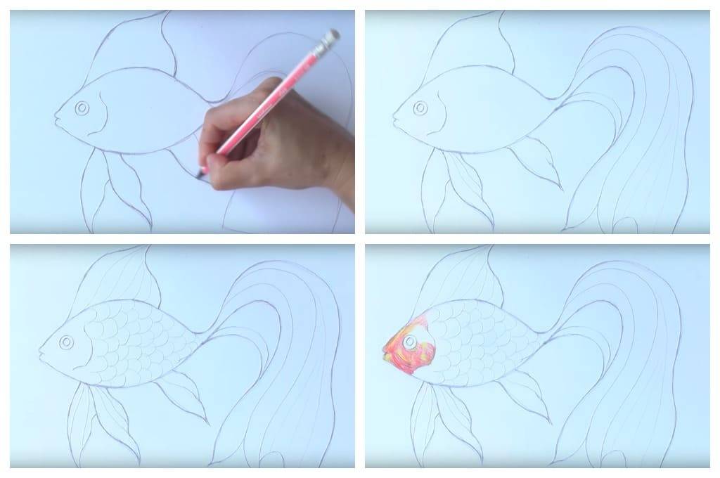 Как нарисовать рыбку карандашом поэтапно для детей – рисуем золотую рыбку легко — пошаговые уроки рисования