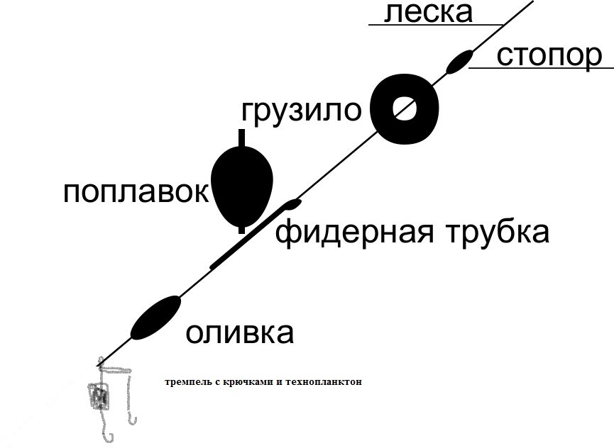 Схема монтажа на толстолобика