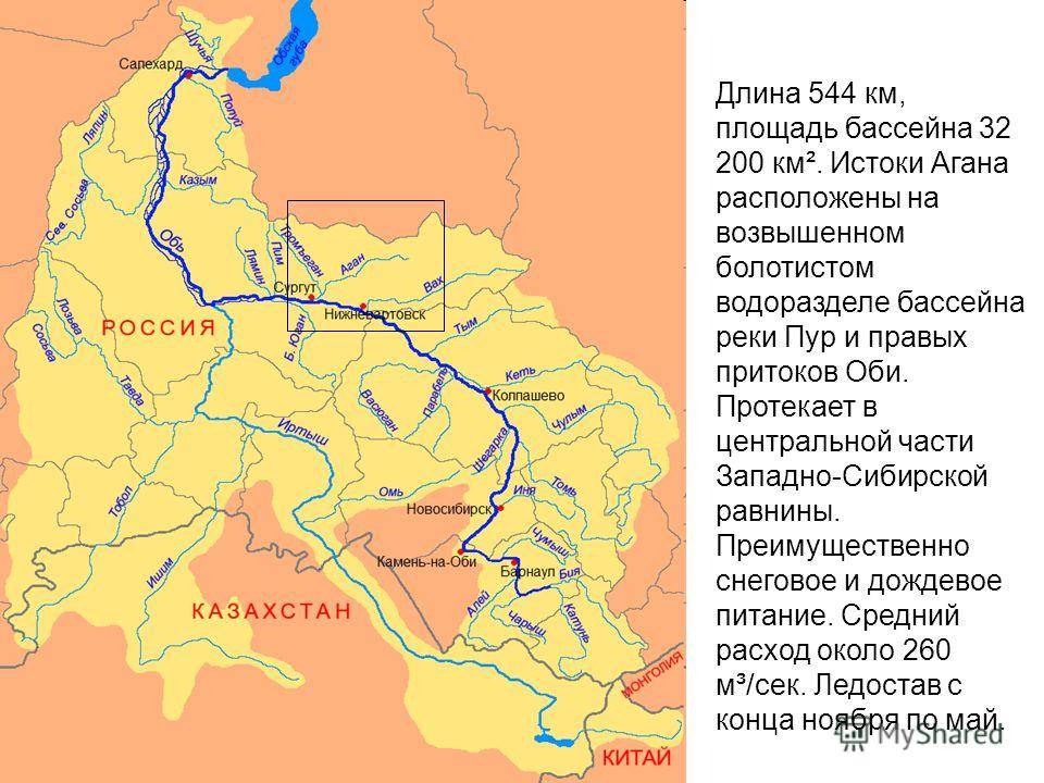 Река бия: карта, фото, описание
